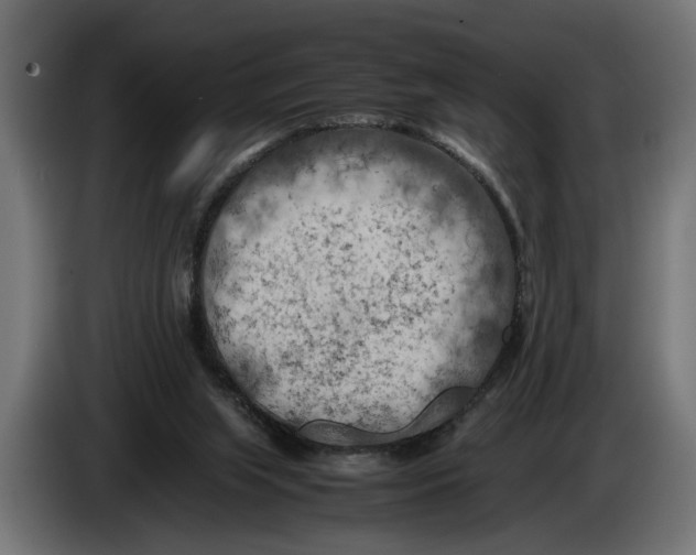 X0000086080063200704132112