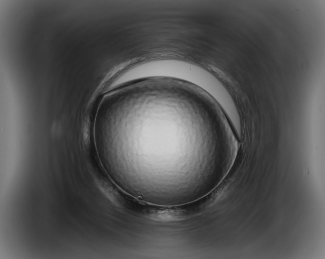 X0000086080064200704132112