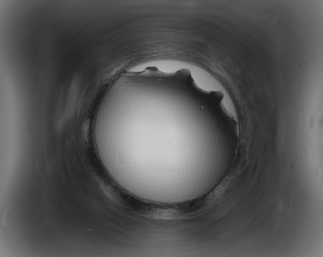 X0000086080066200704132112