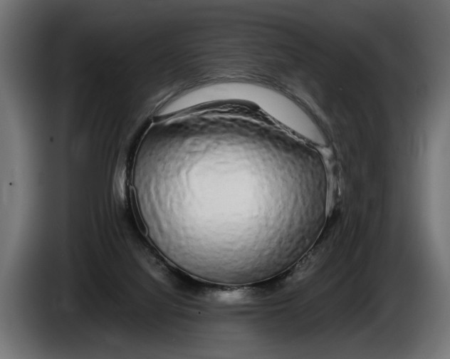 X0000086080068200704132112