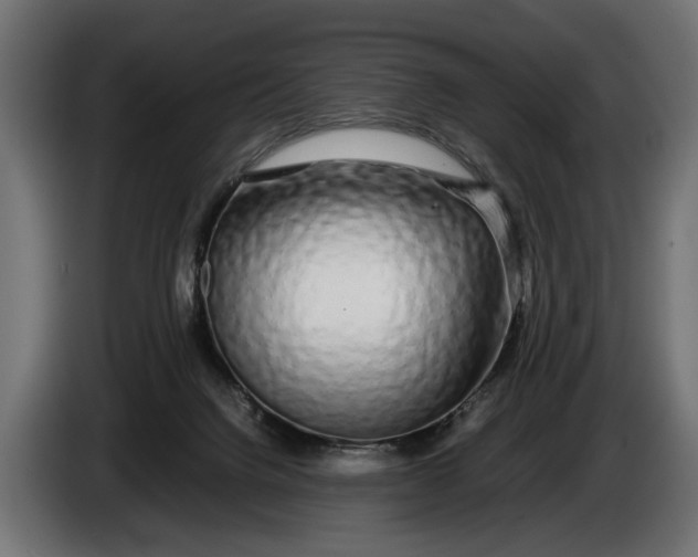 X0000086080072200704132112