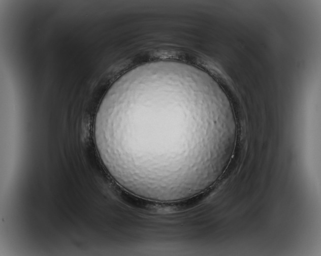 X0000086080073200704132112