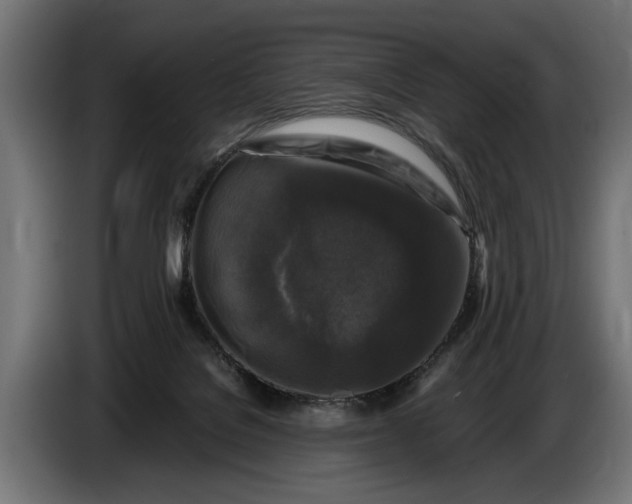 X0000086080076200704132112