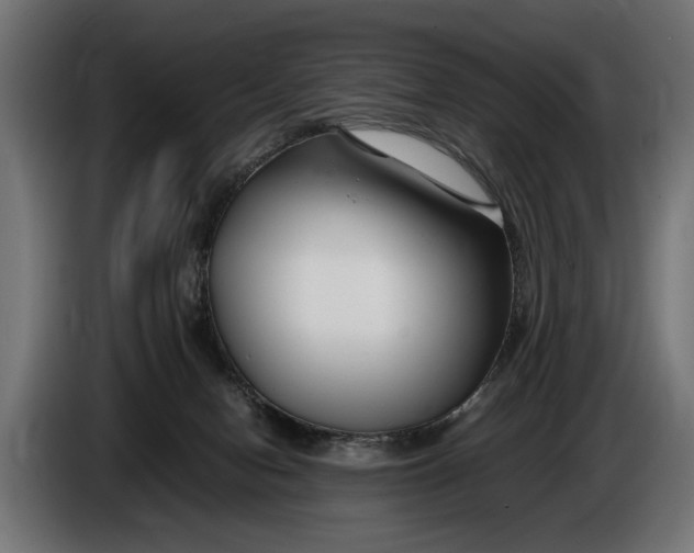 X0000086080078200704132113