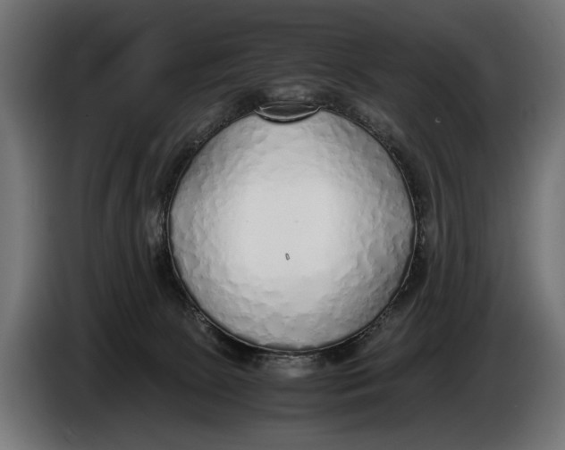 X0000086080081200704132113