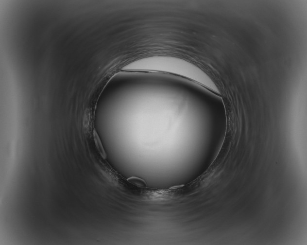 X0000086080092200704132113