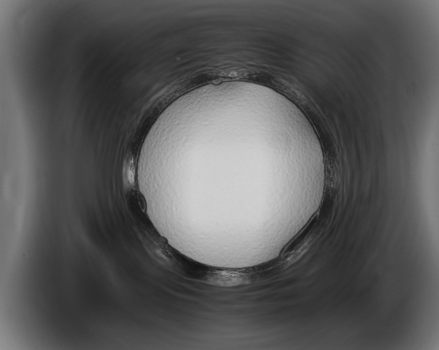 X0000086080095200704132113