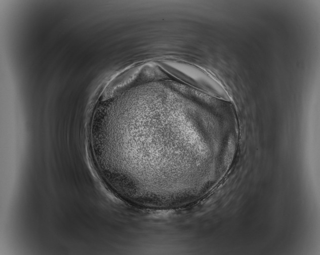 X0000086080097200704132112