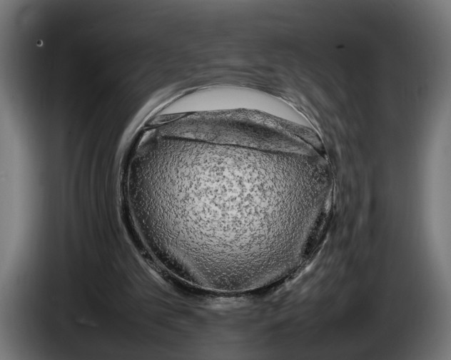 X0000086080101200704132112