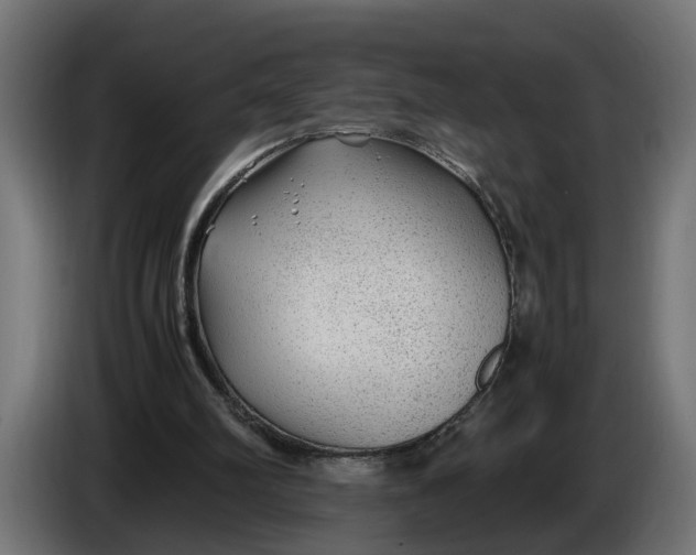 X0000086080102200704132112