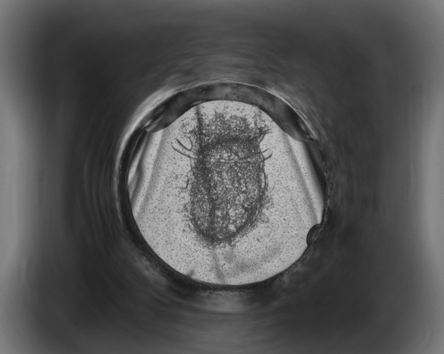 X0000086080104200704132112