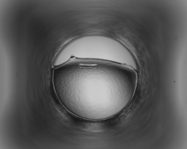 X0000086080107200704132112