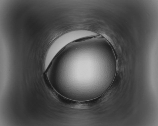 X0000086080109200704132112