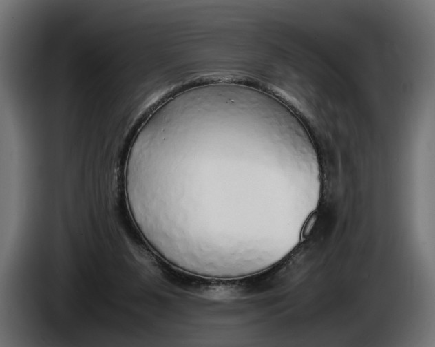 X0000086080111200704132112