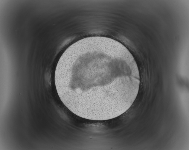 X0000086080112200704132112