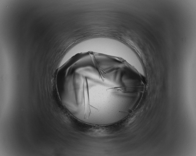 X0000086080113200704132112