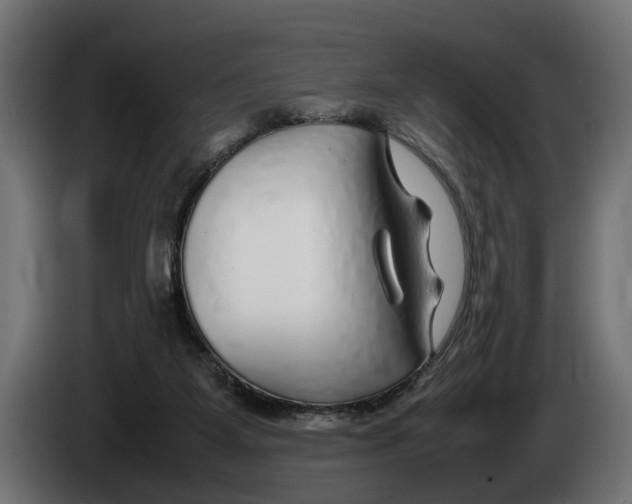 X0000086080115200704132112