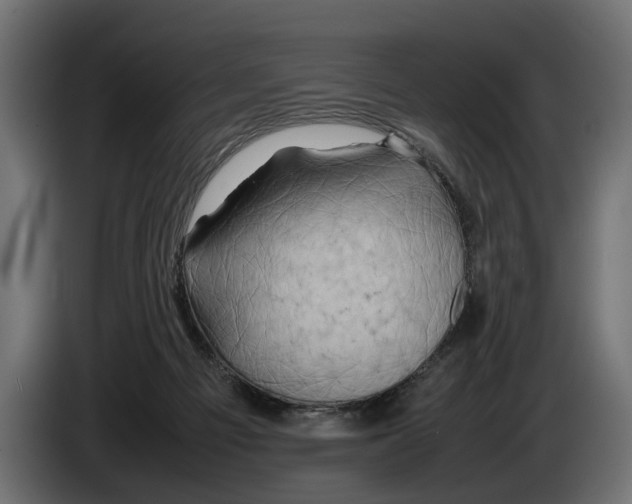 X0000086080121200704132112