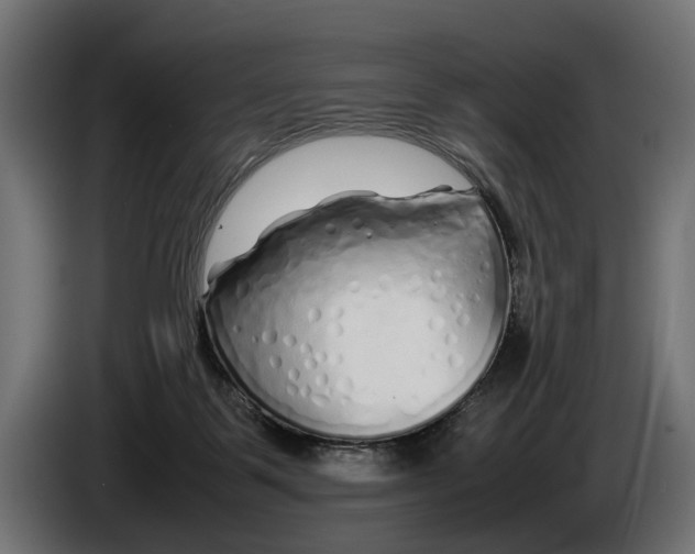 X0000086080123200704132112