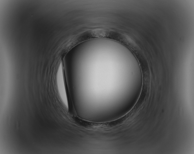 X0000086080125200704132112