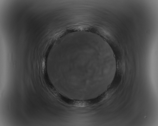 X0000086080127200704132112