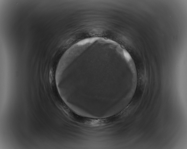 X0000086080130200704132112