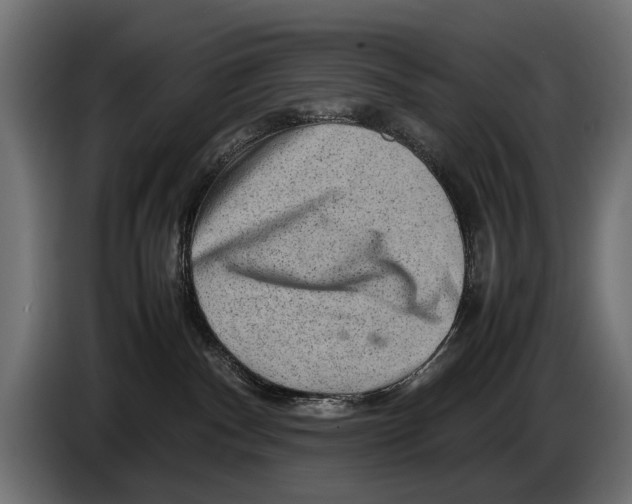 X0000086080140200704132111