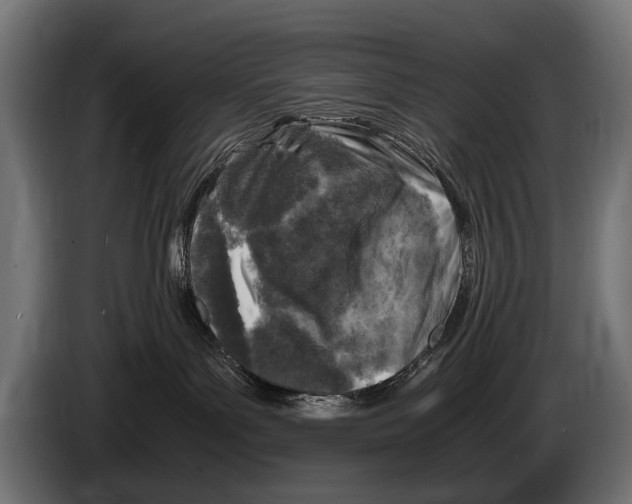 X0000086080143200704132111