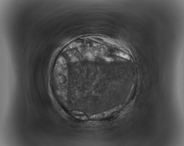 X0000086080145200704132111