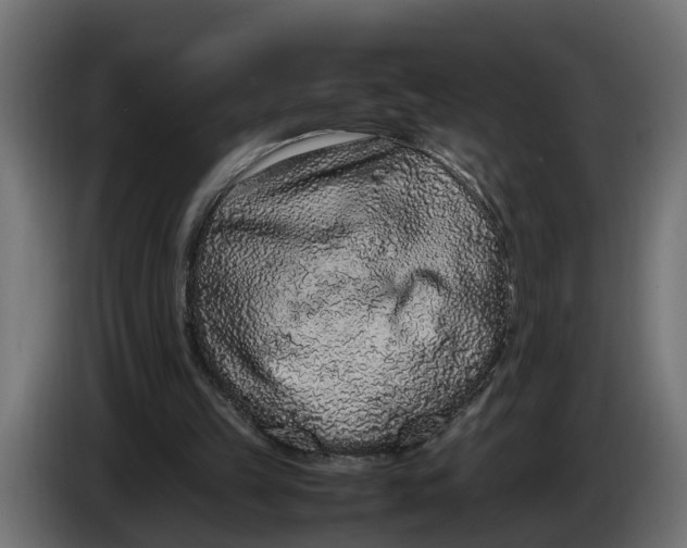 X0000086080149200704132111