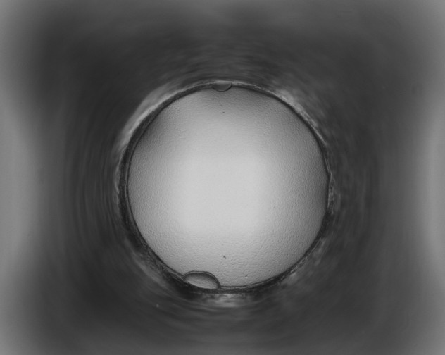 X0000086080151200704132111