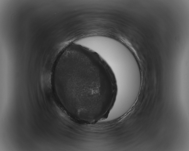 X0000086080154200704132111