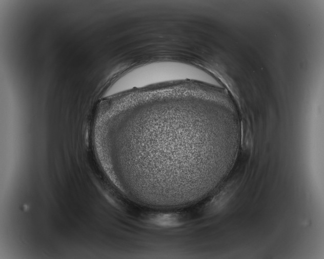 X0000086080157200704132111