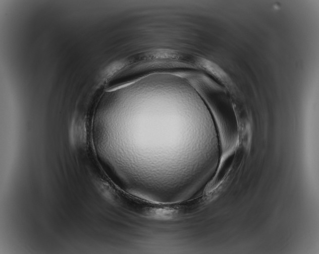 X0000086080158200704132111