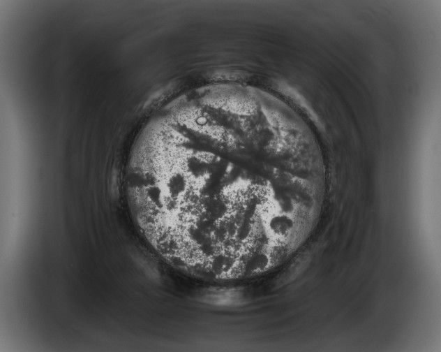 X0000086080161200704132111