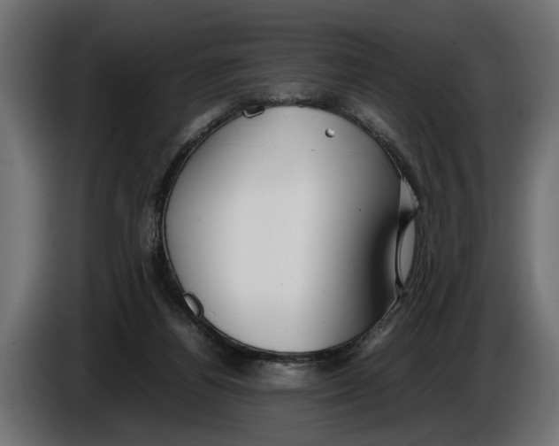 X0000086080164200704132111