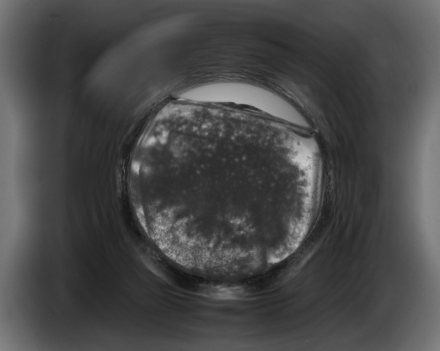 X0000086080165200704132111