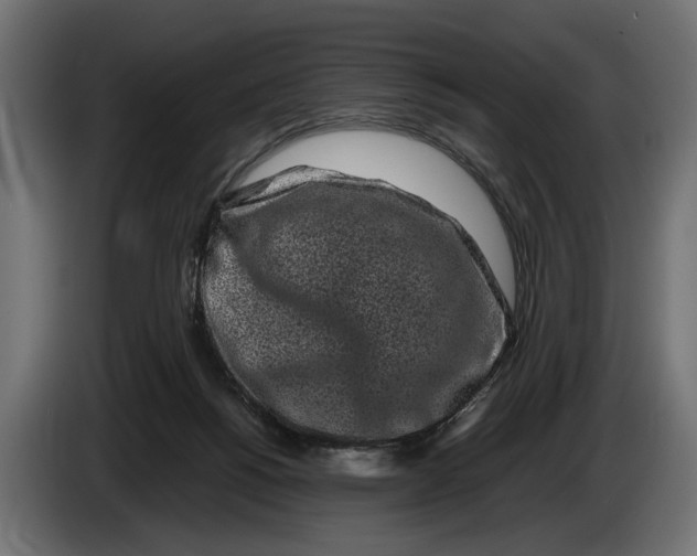 X0000086080168200704132111