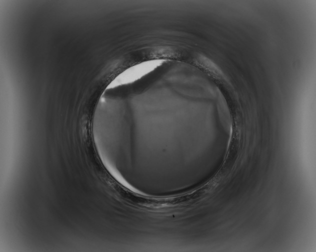 X0000086080169200704132111