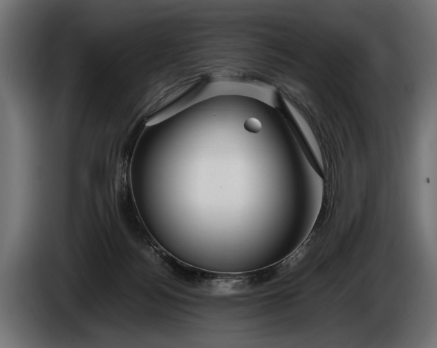 X0000086080172200704132111