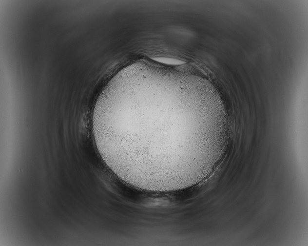 X0000086080175200704132111