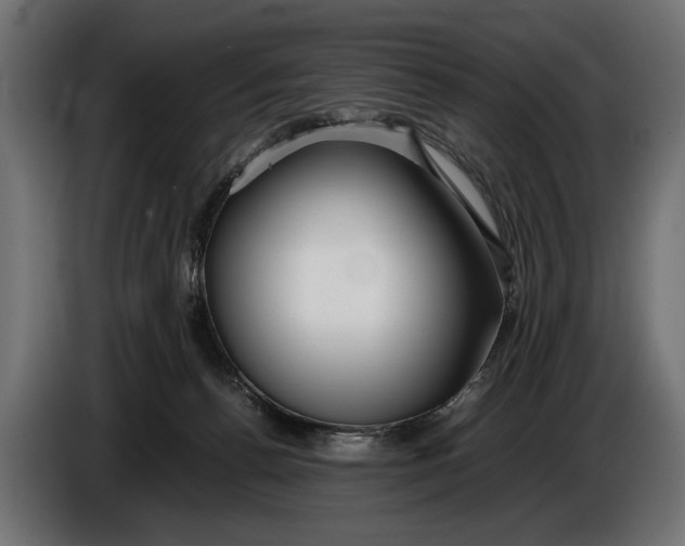 X0000086080176200704132111