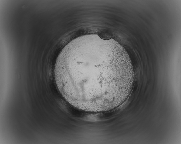 X0000086080178200704132111