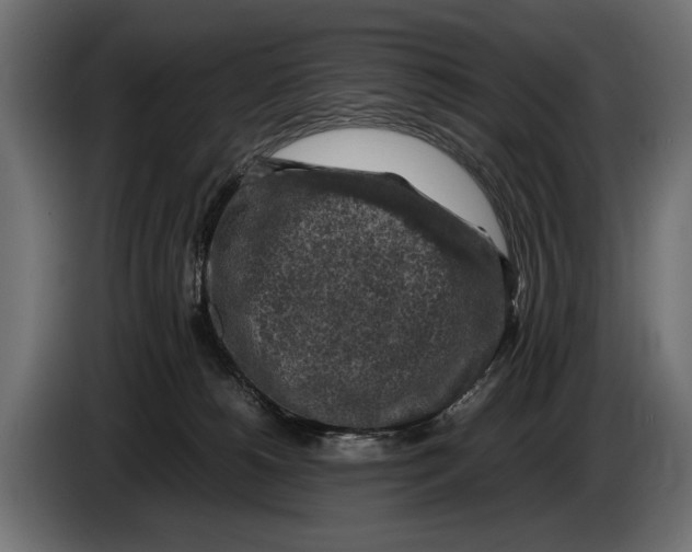 X0000086080180200704132111