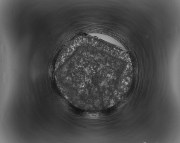 X0000086080181200704132111