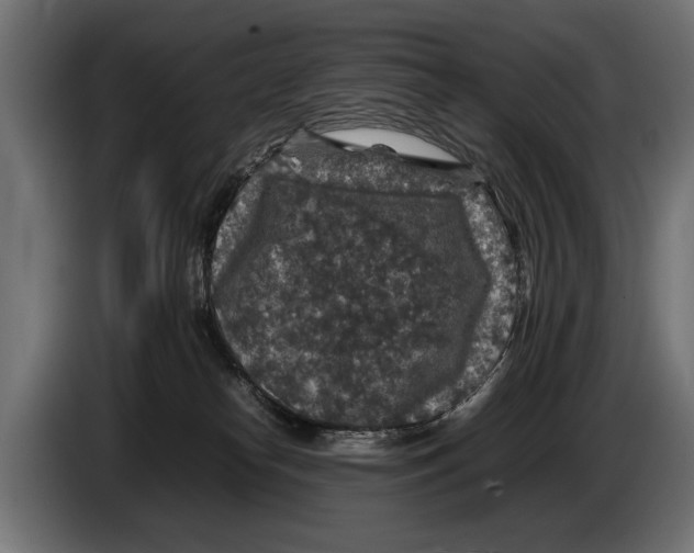 X0000086080182200704132111