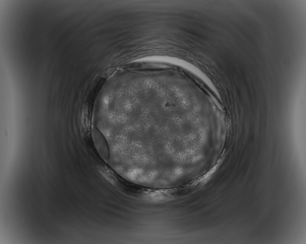 X0000086080186200704132111