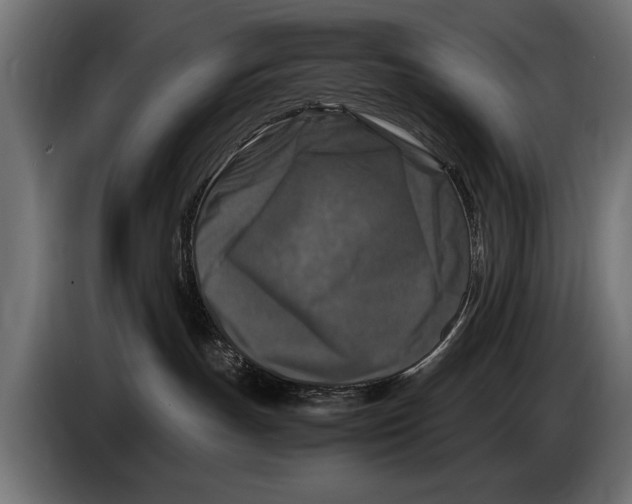 X0000086080191200704132111