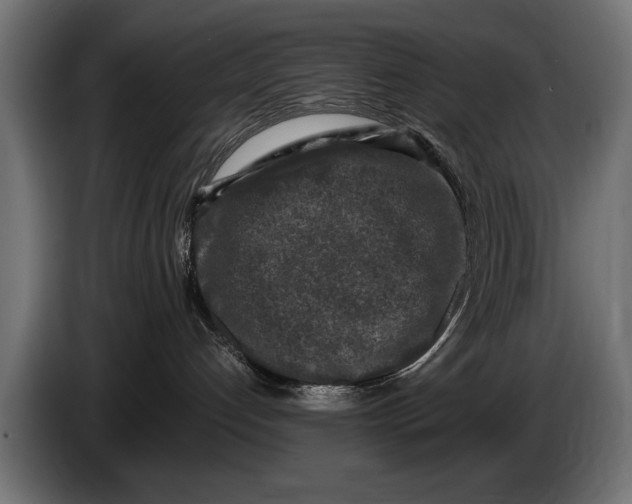 X0000086080192200704132111