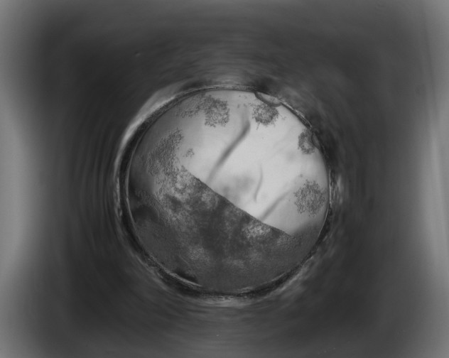 X0000086080198200704132111